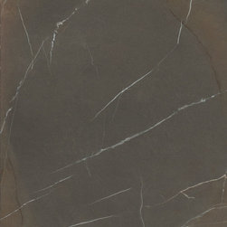 Pietra Piasentina Taupe In-Side Collection - Kitchen Countertops