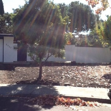 Lawn Replacement Edible Landscape