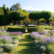 kenwood garden ideas