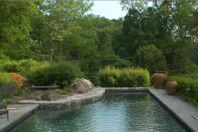 This is an example of a contemporary pool in New York.