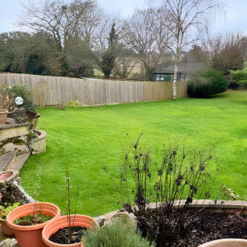Before - Lower Lawn