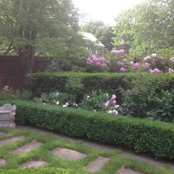 boxwood hedge