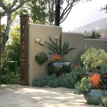 Tucson Landscaping