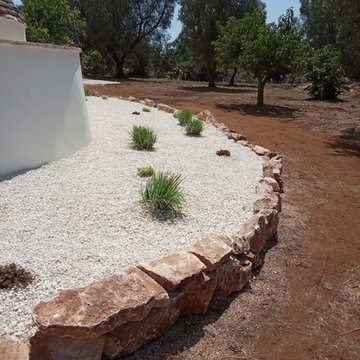 Trullo, oliveto e poesia | 1 ettaro work in progress