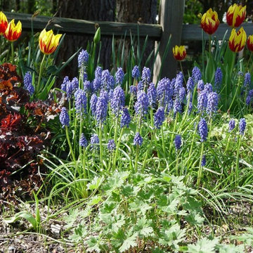 Some of my friends are flowers