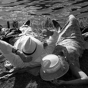 Andre Gonsalves's photo