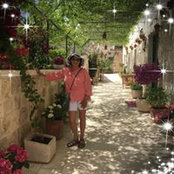 Pat Allen's photo