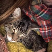Christi Power's photo