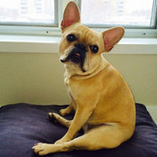 Erika Camacho's photo