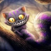 Debbie Gilmore's photo