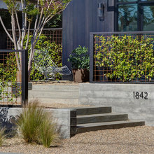 Deck / landscape ideas