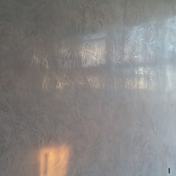 Venetian Plaster Calgary-Artesia Community