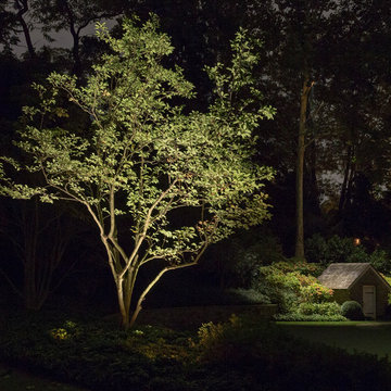 Wyndmoor, PA