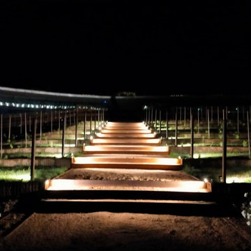 Bodegas Beronia Rioja