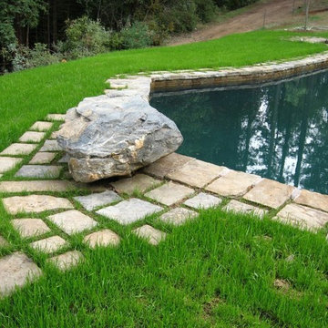 Nicasio Garden - Marin