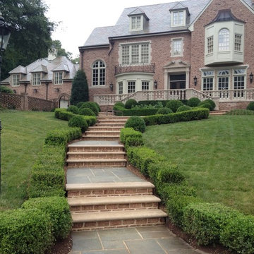 Our Work