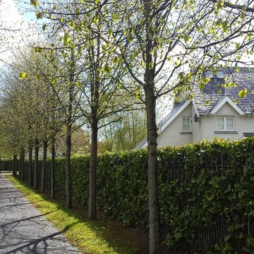 Garden and Landscape for an Arts & Crafts Style Housing Development