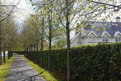 Inspiration for an expansive arts and crafts driveway in Dublin with concrete pavers.