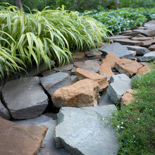 Landscaping— Side Yard