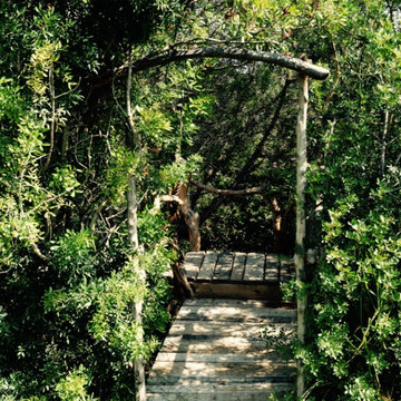 Tree Houses