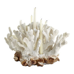 CORAL CANDLEHOLDER - Products