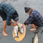 Andrew Parker's photo