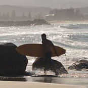 Diego Vallejos's photo