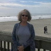 Judith Murphy's photo