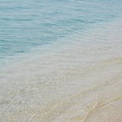 Kim Kramer's photo