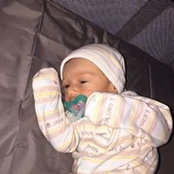 Diane Golomb's photo