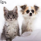 Tanja Niq's photo