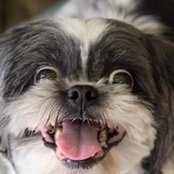 Marlina Robins's photo