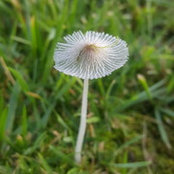 Julie Harmon's photo