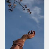 Rwan Esmail's photo