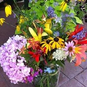 Kim Milberg's photo