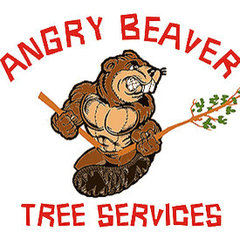 Angry Beaver Tree Service