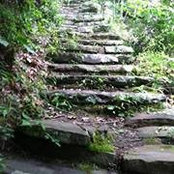 Kraig Lee's photo