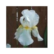 Eileen Monacchio's photo