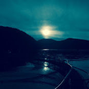 chris lewis's photo