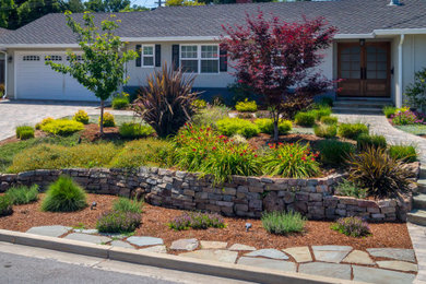 This is an example of a transitional landscaping in San Francisco.