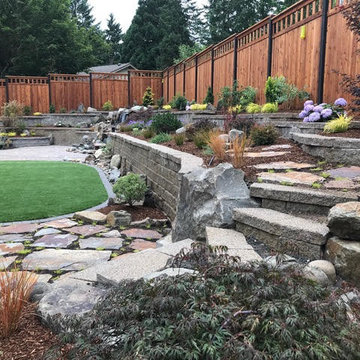 Jackson Back Yard