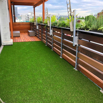 Y Residence's Balcony
