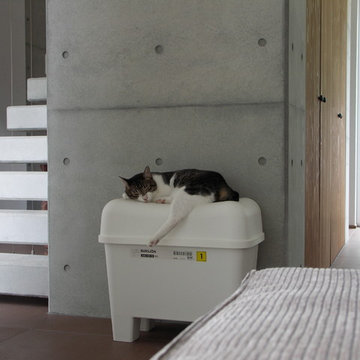 2コートハウス（仕切りつつ繋がるワンルームでネコと緑豊かに暮らす）