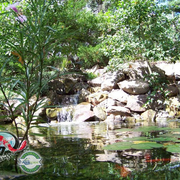 KOI Pond, Backyard Pond & Small Pond Ideas for your Kentucky Landscape