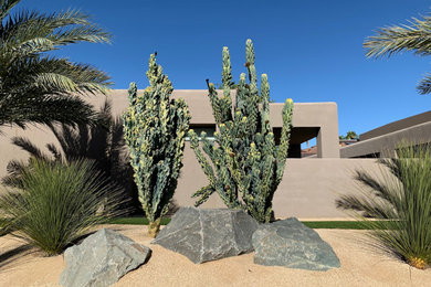 Modern desertscape design Palm Desert