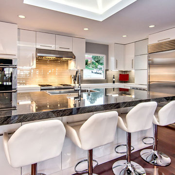 White High-Gloss Contemporary Kitchen