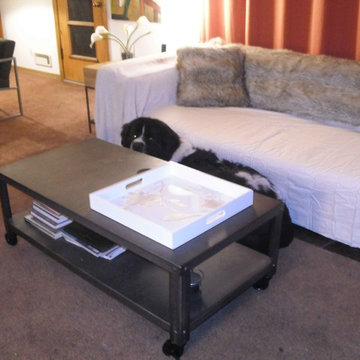 Redecorating - New sofa, coffee table AND dog