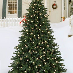 Balsam Hill Allegheny Evergreen Outdoor Artificial Christmas Tree - Christmas Trees