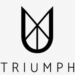 Triumph.AI