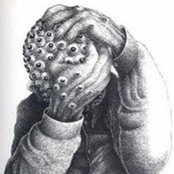 Erçin Öztürk's photo